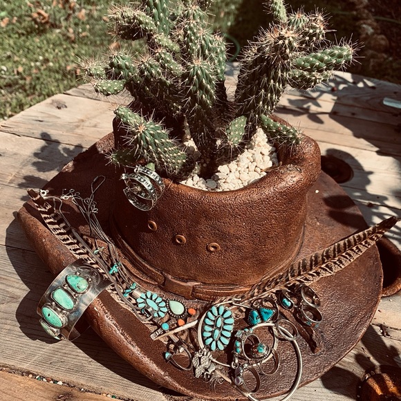 Meet your Posher, Kierra - Picture 4 of 4